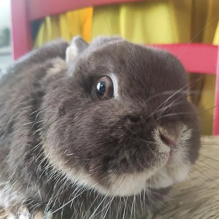 Dom wakacyjny Les Du Val Renoux Fécamp