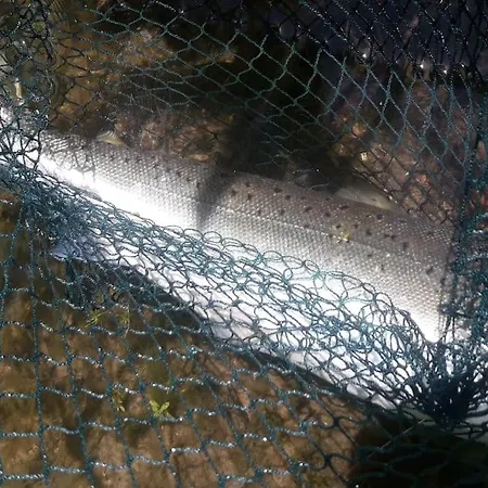 Les Du Val Renoux Dom wakacyjny *