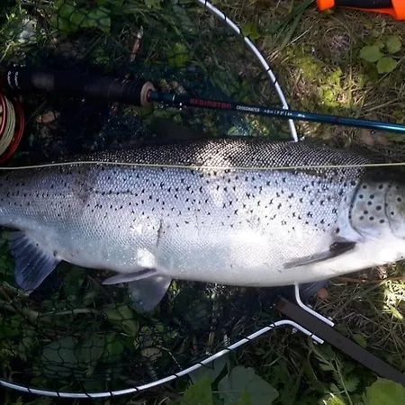 Dom wakacyjny Les Du Val Renoux Fécamp
