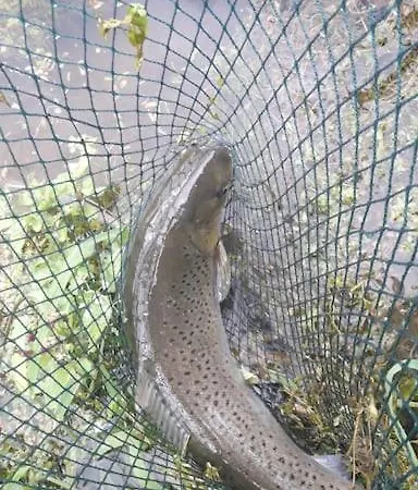 Les Du Val Renoux Dom wakacyjny *