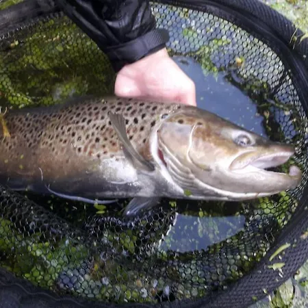 Les Du Val Renoux Dom wakacyjny