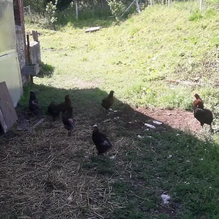 Les Du Val Renoux Vakantiehuis