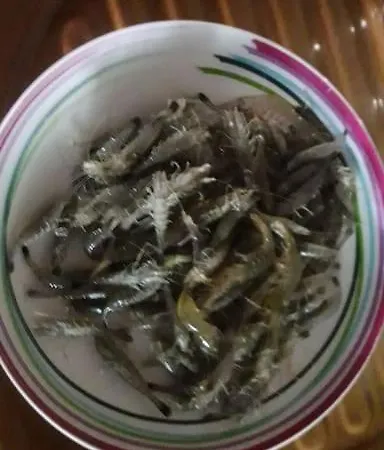 Dom wakacyjny Les Du Val Renoux Fécamp