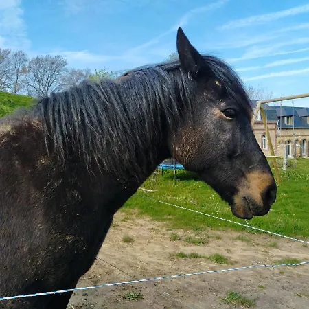 Les Du Val Renoux Dom wakacyjny
