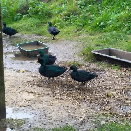 Les Du Val Renoux Fécamp