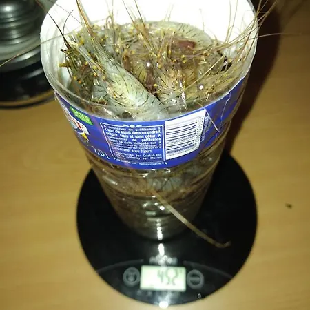 Dom wakacyjny Les Du Val Renoux Fécamp