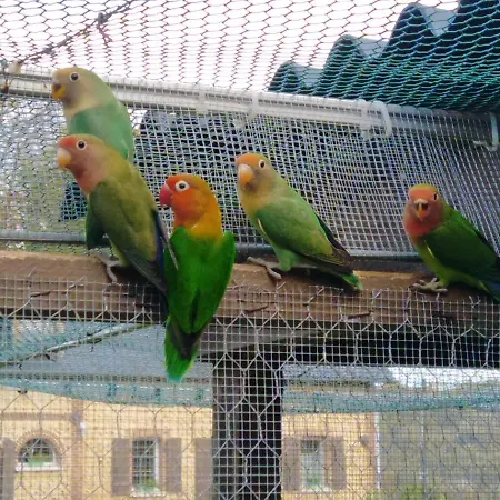 Les Du Val Renoux Dom wakacyjny Fécamp