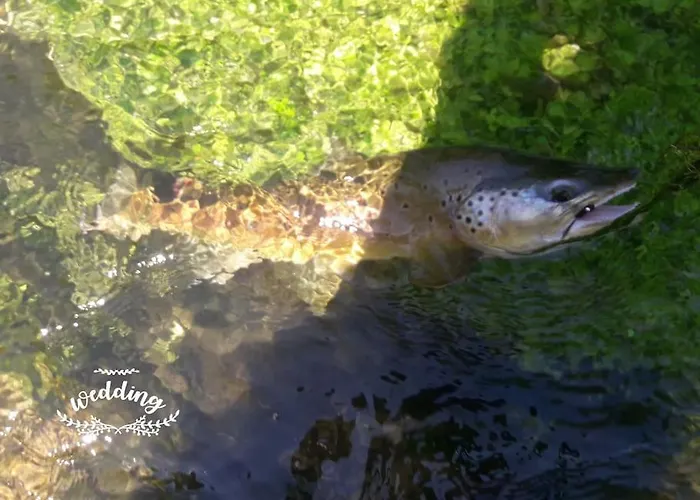 Les Du Val Renoux Fécamp