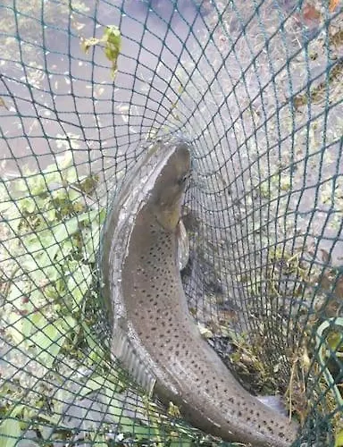 Les Du Val Renoux Σπίτι διακοπών *