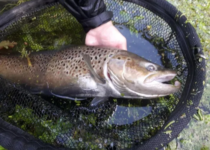 Les Du Val Renoux Σπίτι διακοπών