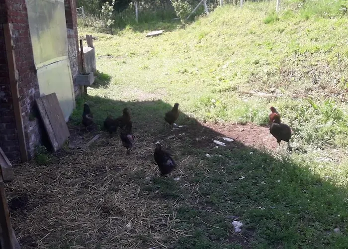 Les Du Val Renoux Σπίτι διακοπών