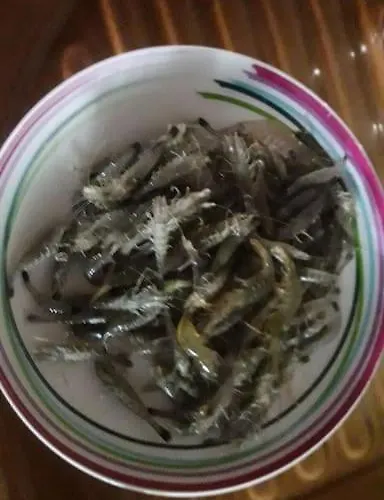 Σπίτι διακοπών Les Du Val Renoux Fécamp