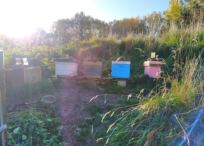 Les Du Val Renoux * Fécamp