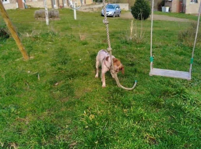 Les Du Val Renoux * Fécamp