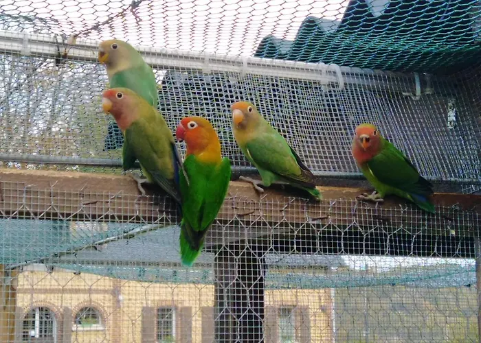 Les Du Val Renoux Σπίτι διακοπών Fécamp