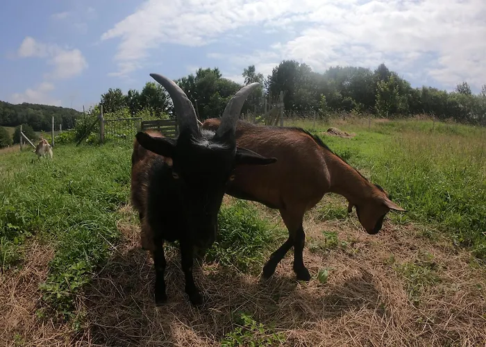 Les Du Val Renoux Σπίτι διακοπών *
