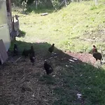 Les Du Val Renoux Hébergement de vacances