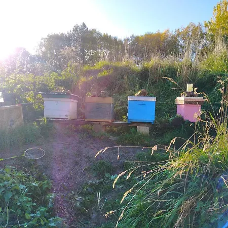 Les Du Val Renoux * Fécamp