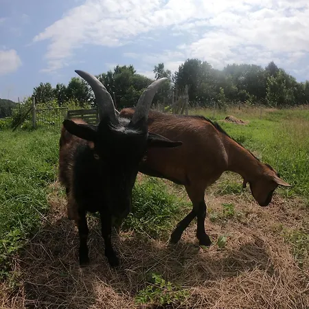 Les Du Val Renoux בית נופש *