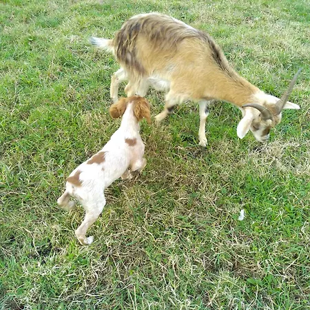 Ferienhaus Les Du Val Renoux *