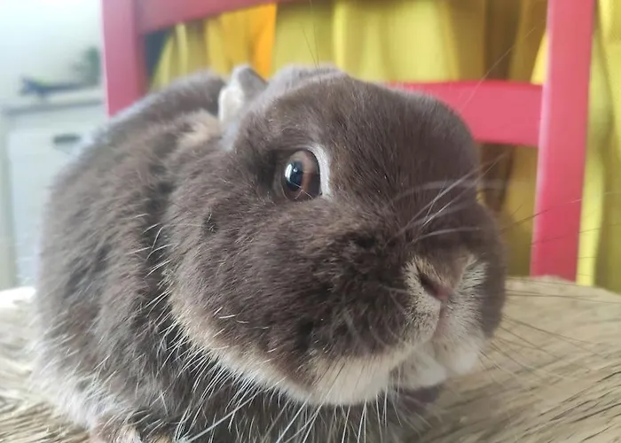 Holiday home Les Du Val Renoux Fecamp