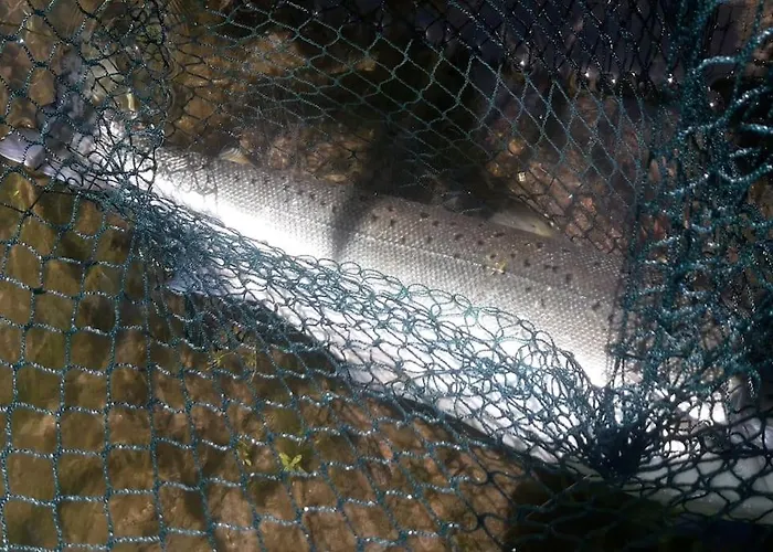 Les Du Val Renoux Holiday home *