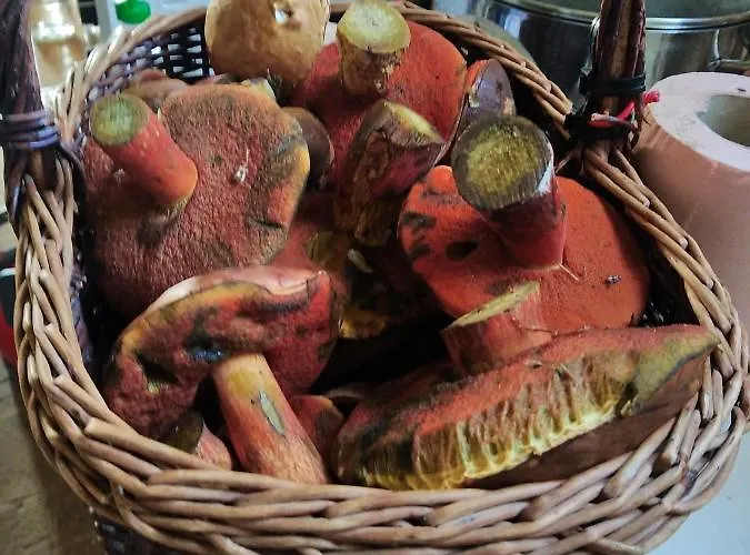 Holiday home Les Du Val Renoux *