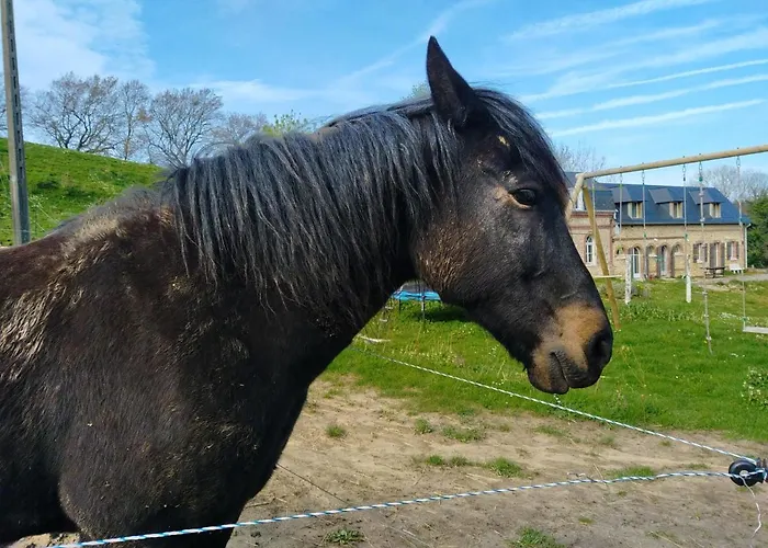 Les Du Val Renoux Holiday home