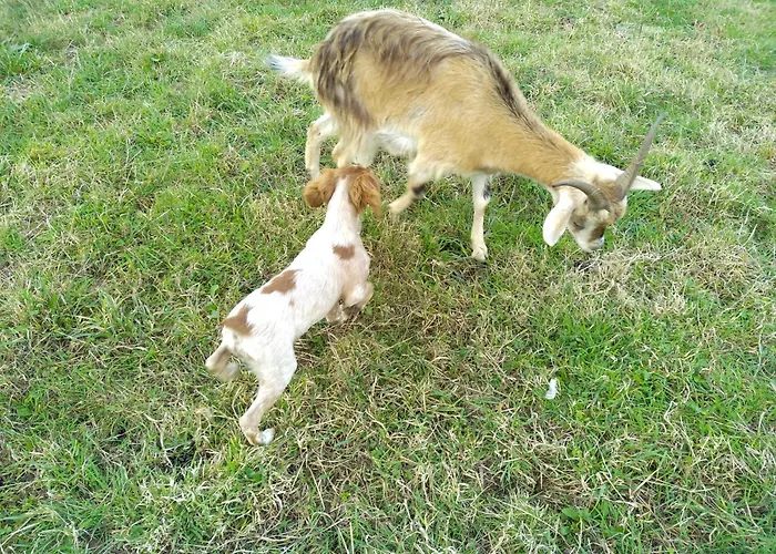 Holiday home Les Du Val Renoux *